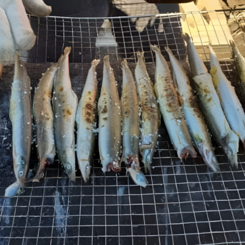 강원더몰,동해항씨푸드 강원도 동해안 햇 양미리 반건조양미리 생물양미리