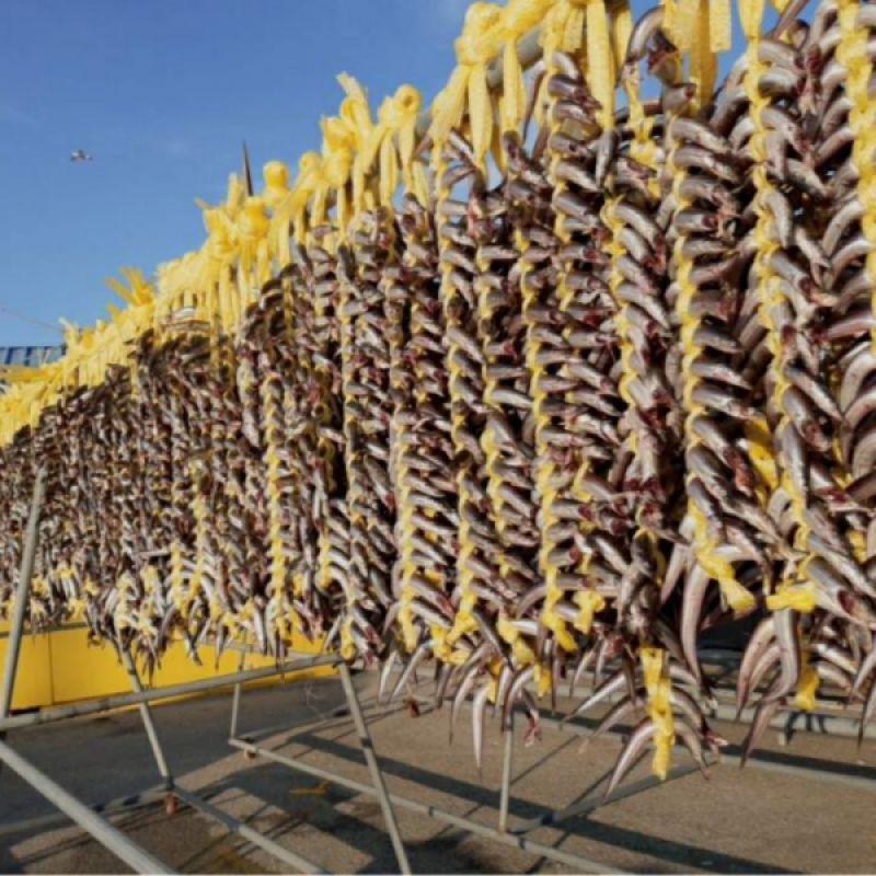 강원더몰,동해항씨푸드 강원도 동해안 햇 양미리 반건조양미리 생물양미리