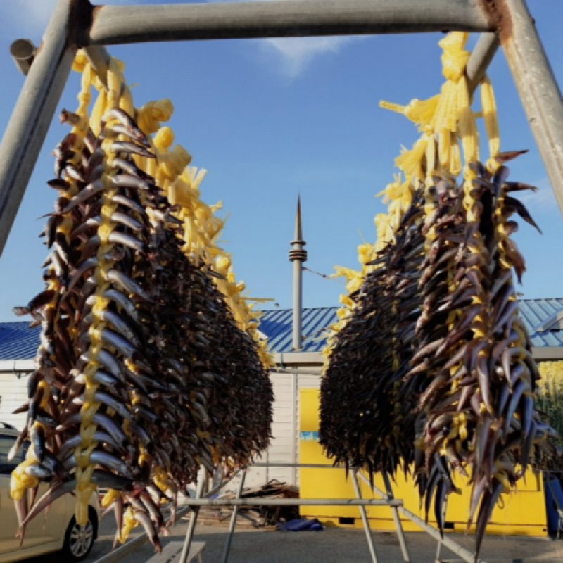 강원더몰,동해항씨푸드 강원도 동해안 햇 양미리 반건조양미리 생물양미리