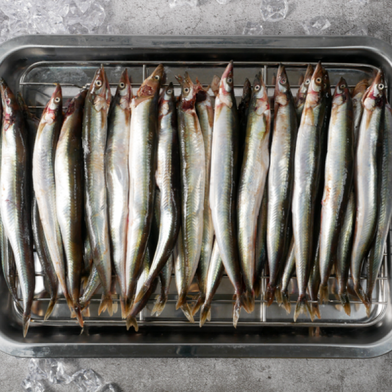 강원더몰,동해항씨푸드 강원도 동해안 햇 양미리 반건조양미리 생물양미리